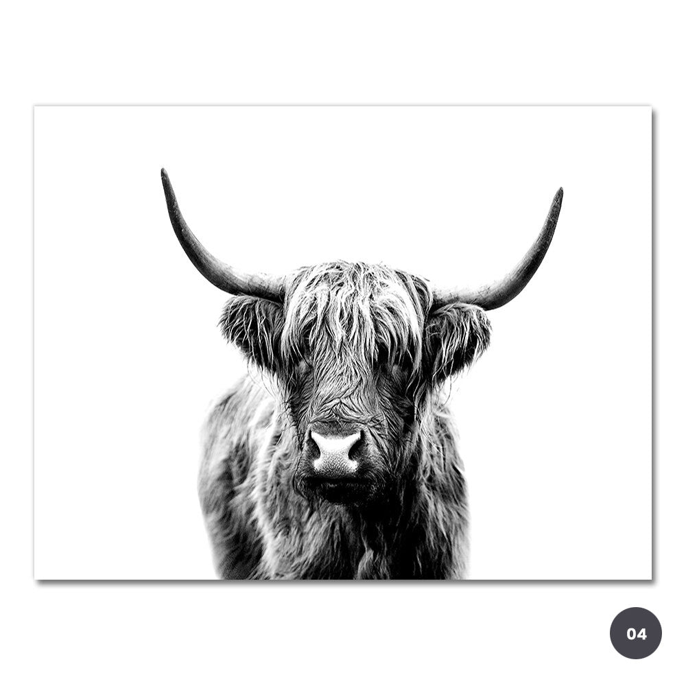 Black & White Highland Cattle Wall Art Fine Mountain Yak Bison Pictures For Living Room Dining Room Home Office Scandinavian Interior Decor