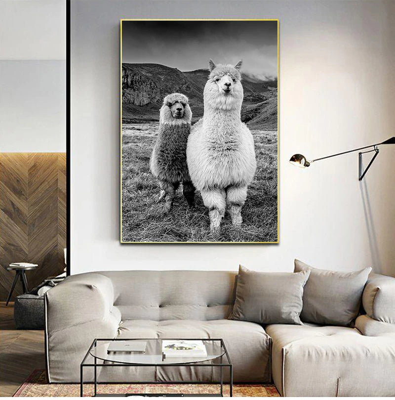 Cute Alpacas Black & White Animals Wall Art Fine Art Canvas Prints Pictures For Living Room Dining Room Kid's Bedroom Nursery Wall Art Decor