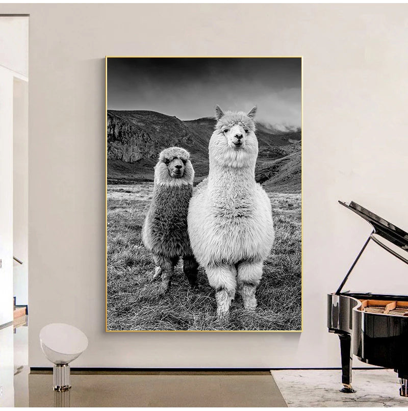 Cute Alpacas Black & White Animals Wall Art Fine Art Canvas Prints Pictures For Living Room Dining Room Kid's Bedroom Nursery Wall Art Decor