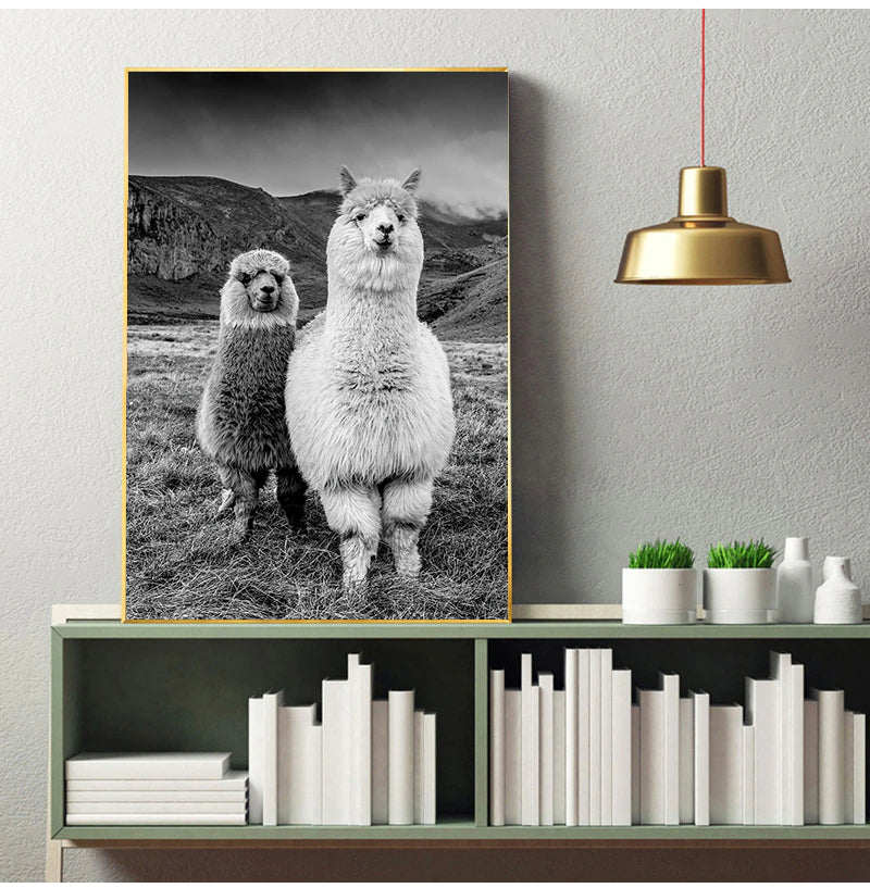 Cute Alpacas Black & White Animals Wall Art Fine Art Canvas Prints Pictures For Living Room Dining Room Kid's Bedroom Nursery Wall Art Decor