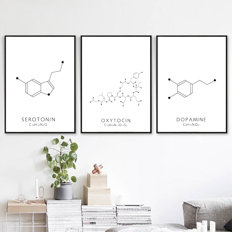 Molecular Biology Happy Hormones Wall Art Fine Art Canvas Prints Black White Minimalist Chemistry Posters For Promoting Happiness Pleasure And Relaxation