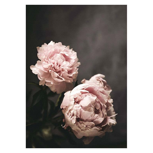 Pink Rose Fashion Peonies Wall Art Fine Art Canvas Prints Modern Floral Beauty Quote Pictures For Living Room Bedroom Art Decor