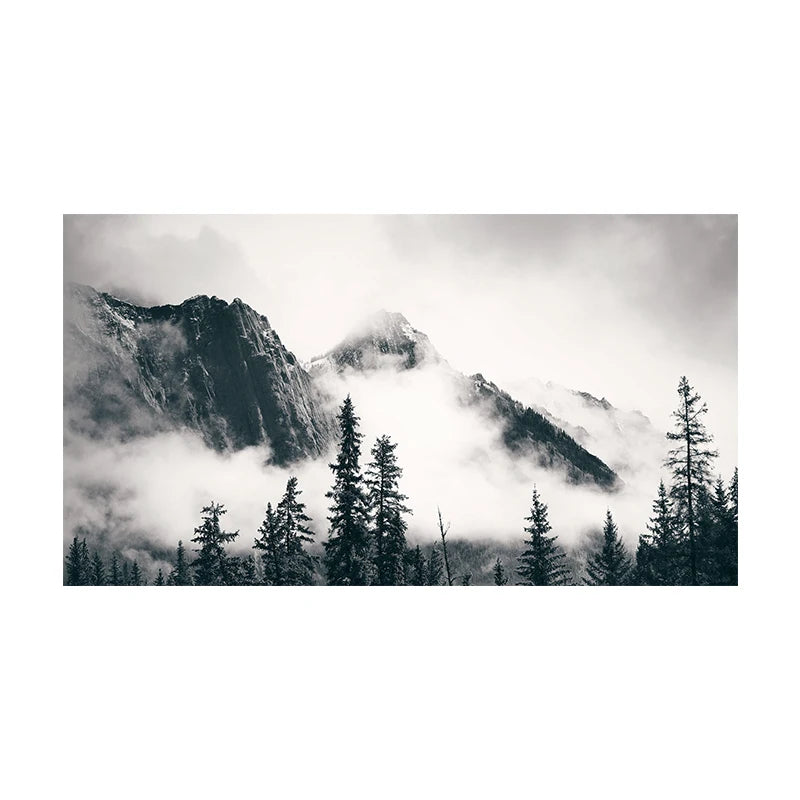 Northern Landscapes Forest Mountain Wilderness Wall Art Fine Art Canvas Prints Black White Posters For Living Room Modern Home Office Decor