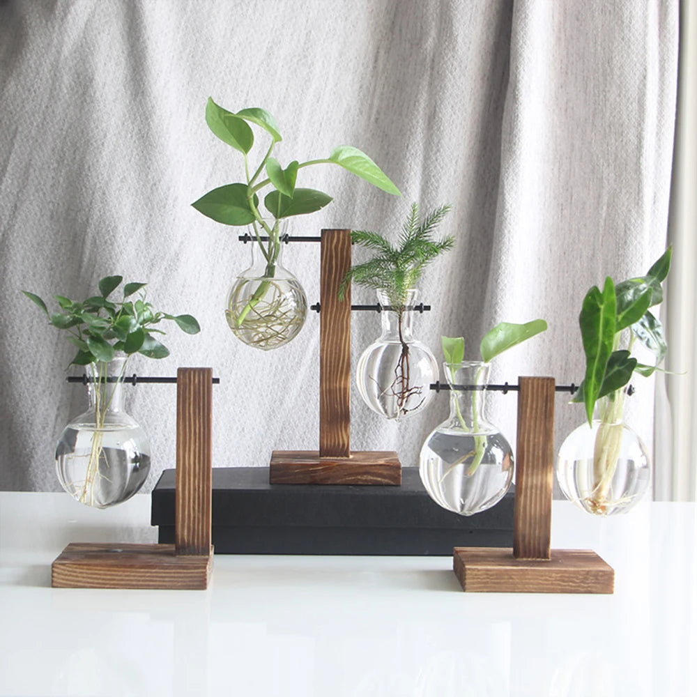 Creative Glass Desktop Planter Bulb Vase Wooden Stand Hydroponic Plant Container Home Tabletop Decor Vases