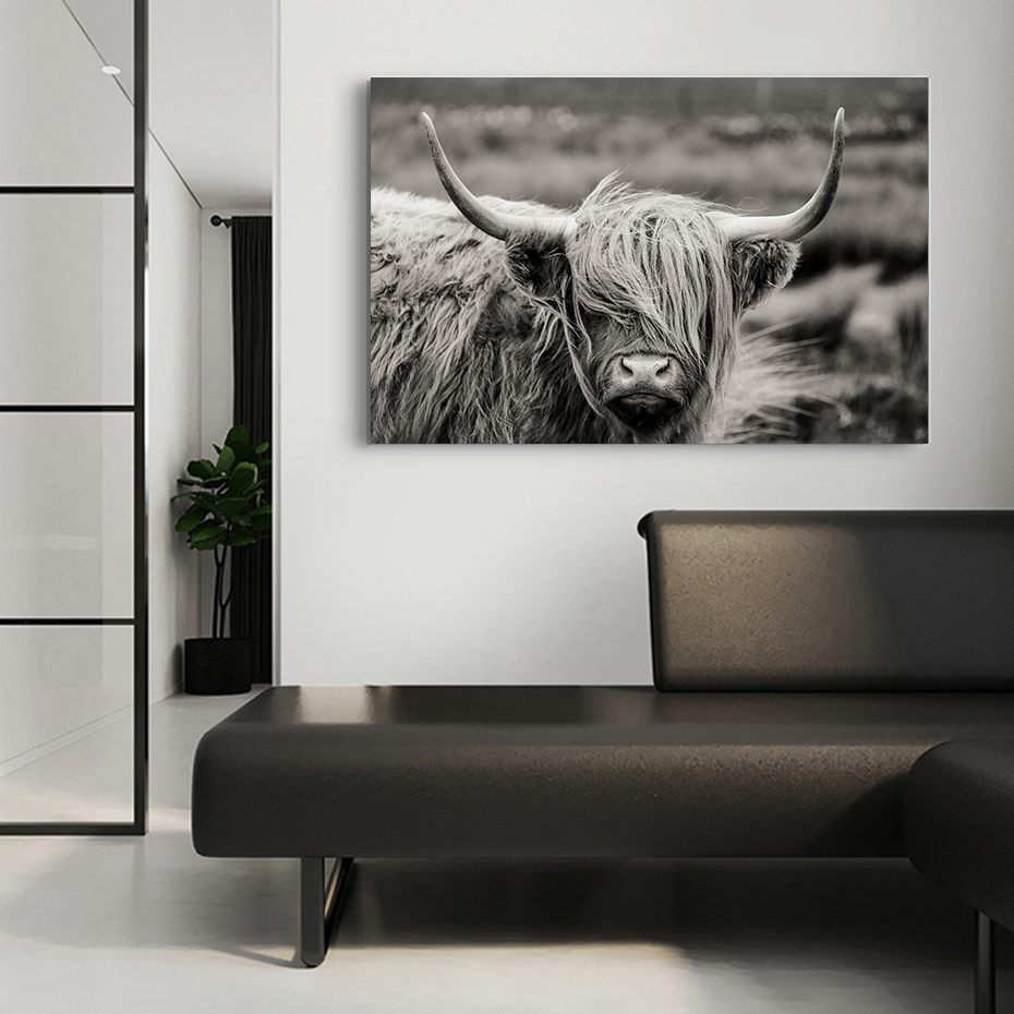 Scottish Highland Cattle Black And White Animal Wall Art Fine Art Canvas Giclee Print Modern Pictures For Office Interior Living Room Dining Room Home Decor