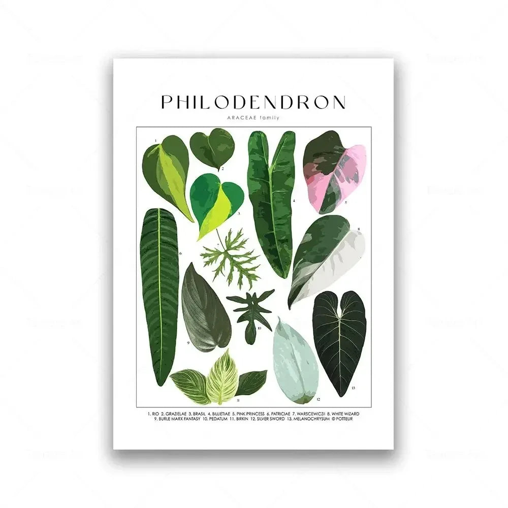 Classic Botanical Specimen Posters Green Leaves Wall Art Fine Art Canvas Prints Pictures For Kitchen Dining Room Living Room Decor 2025