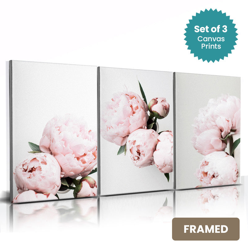 Set of 3Pcs FRAMED Nordic Minimalist Floral Pink Rose Peonies Wall Art Fine Art Canvas Prints, Framed With Wood Frame. Sizes 20x30cm & 30x40cm