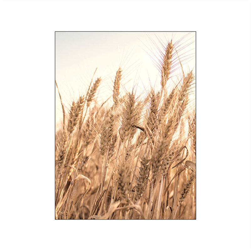 Summer Fields Morning Sunshine Wall Art Fine Art Canvas Prints Simple Lifestyle Landscape Pictures For Living Room Dining Room Art Decor