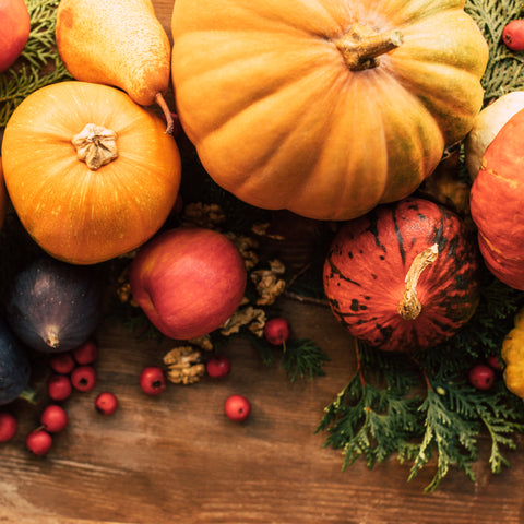 Feed your gut microbiome with healthy holiday foods