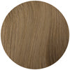 
        Light Ash Brown 9
    