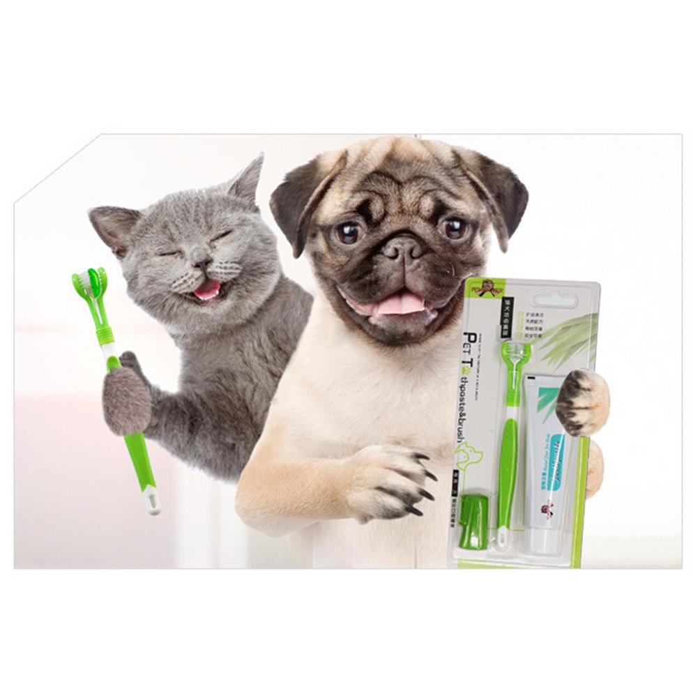 dog edible toothbrush