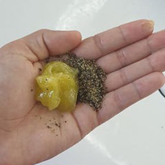 Biotanie organic hemp seeds and Hydrapaise jelly