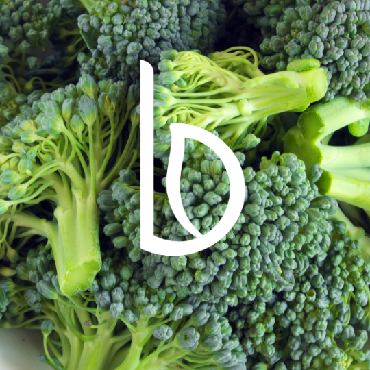 Brocoli de France