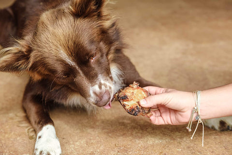 meaty beef knee cap all-natural dog bones