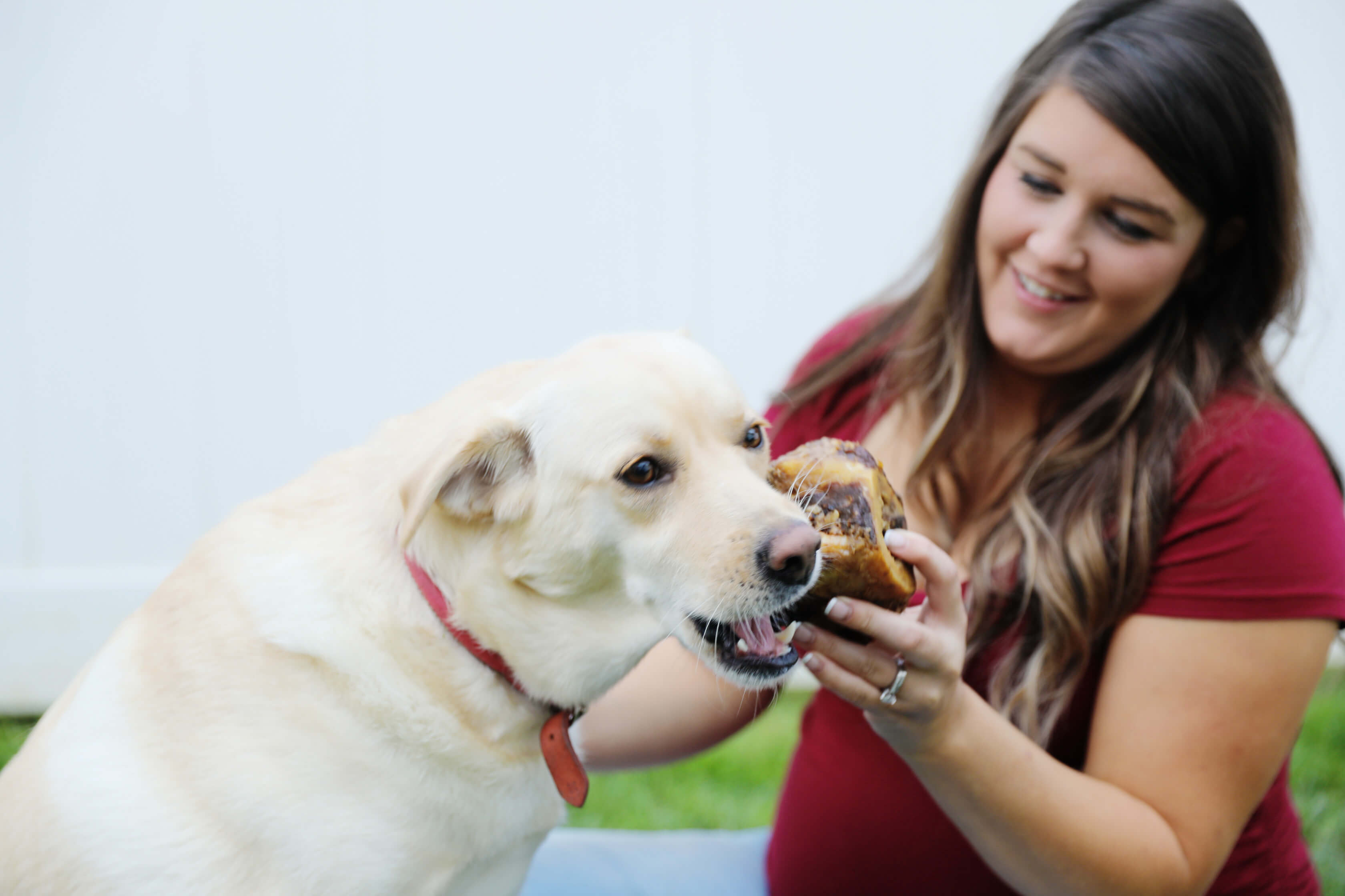 girl giving dog large bone