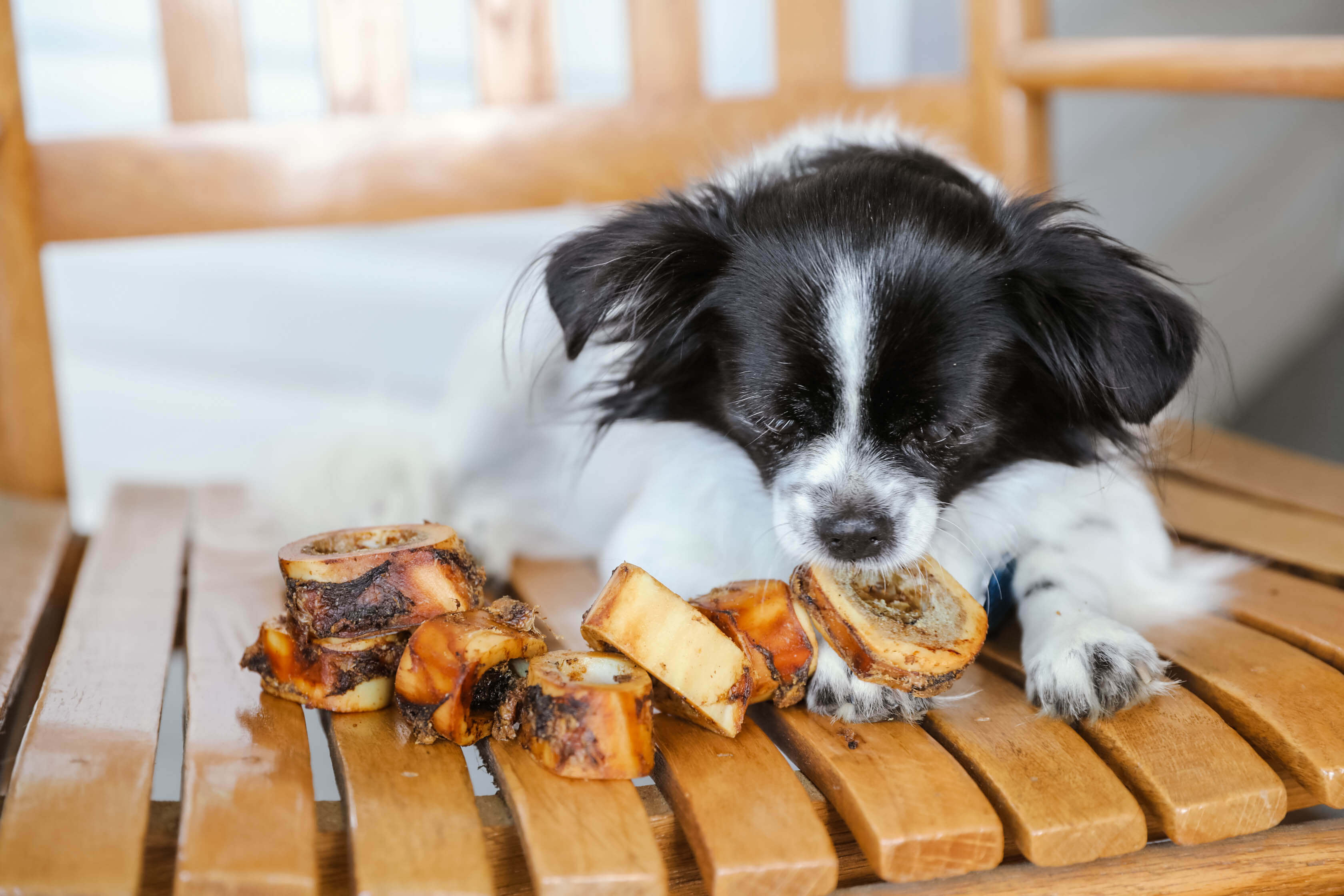 K9 Connoisseur Marrow Bones for Puppies