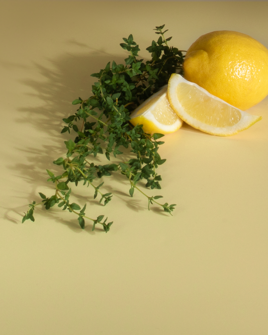 Enviroscent Lemon Leaf and Thyme Plug Hub Scent Pod Plug-In Air