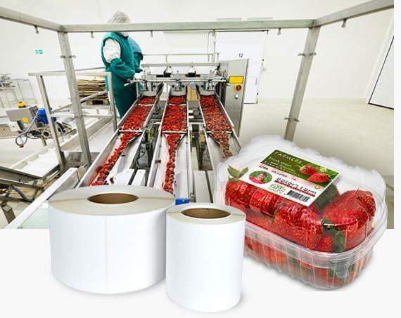 1.875" x 4" Gloss Polypropylene BOPP Inkjet Labels - 8" OD Rolls - 8 Rolls / Case - 1500 Labels / Roll - 12,000 Labels / Case - Priced per Case