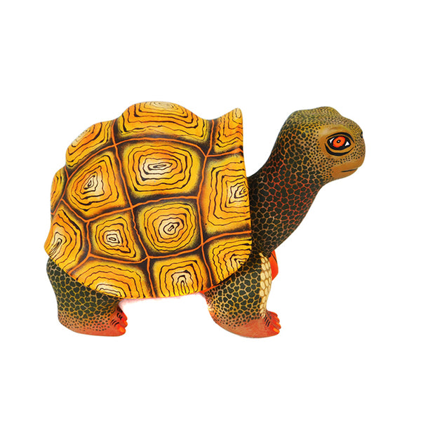 Eleazar Morales: Turtle Woodcarving