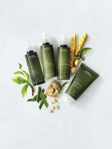 Botanical Skin Care Set_Plant Lover Gifts_Mother's Day Gifts_photo Aveda_Aloe Gal