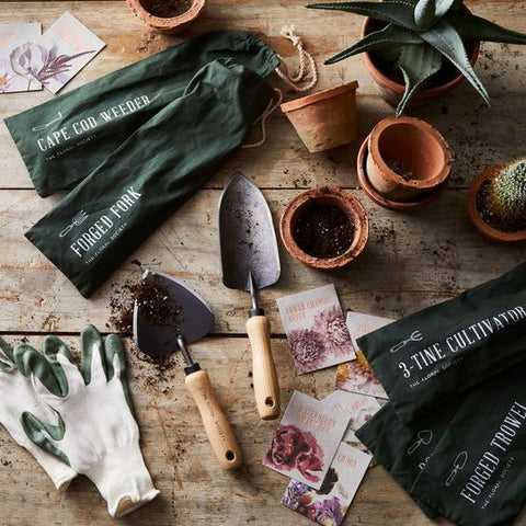 Botanical Tool Set_Plant Lover Gifts_Mother's Day Gifts_photo_Food52_Aloe Gal