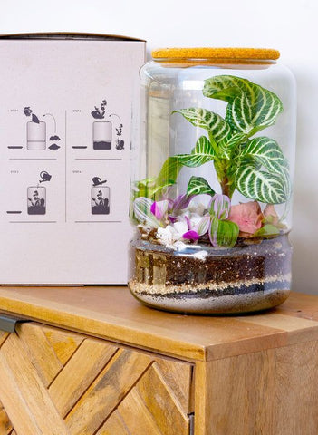 DIY Terrarium Kit_Plant Lover Gifts_Mother's Day Gifts_photo_Plantsome_Aloe Gal