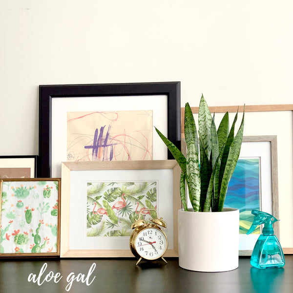 Best Gifts for Plant Lovers_Botanical Art Prints_Aloe Gal