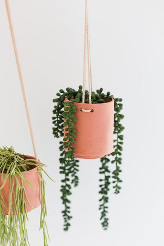 Hanging Planters_Plant Lover Gifts_Mother's Day Gifts_photo Fall for DIY_Aloe Gal