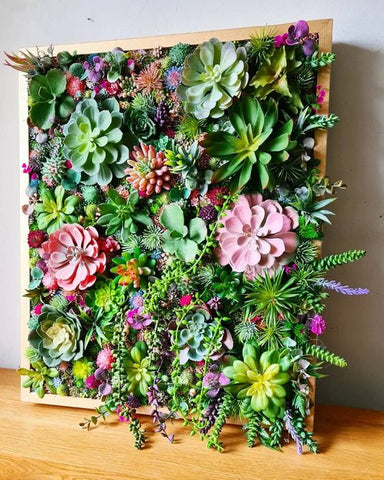 Living Wall Art_Plant Lover Gifts_Mother's Day Gifts_photo_Framed Reality Designs_Aloe Gal