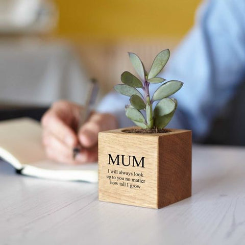 Personalized Planter_Plant Lover Gifts_Mother's Day Gifts_photo_MijMoj Design_Aloe Gal