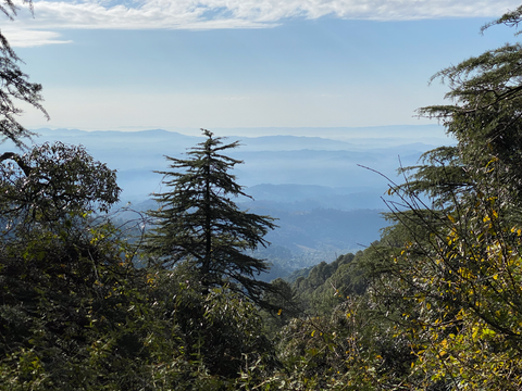 Mountain view in Dharamshala, Himachal Pradesh