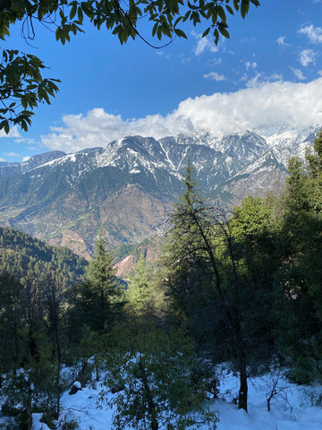Mountain view from Dharamkot, Himachal Pradesh