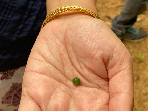 Green peppercorn tasting