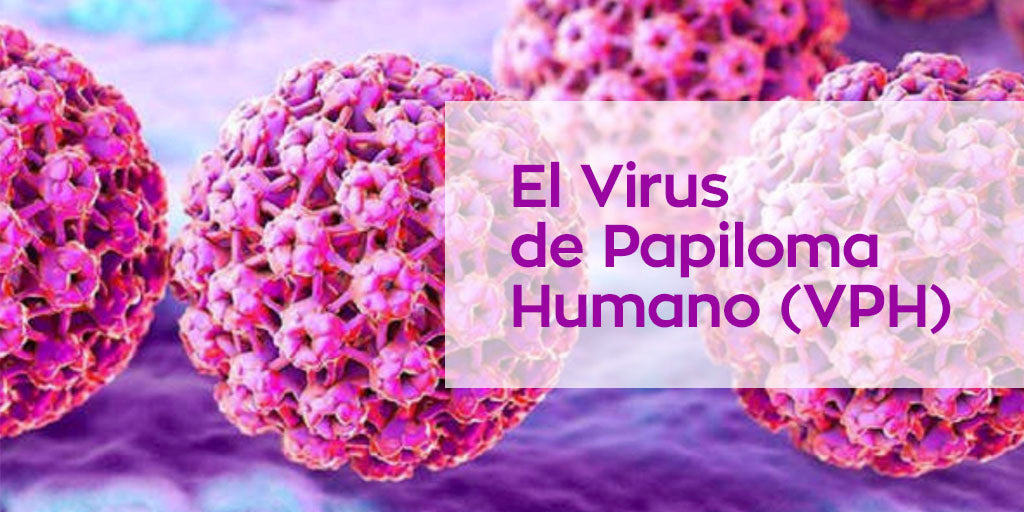 The silent Human Papillomavirus How to avoid contagion! – Zenzsual