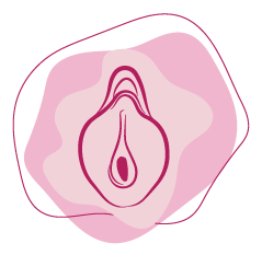 vulva size