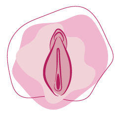 Oscurecimiento de la vulva
