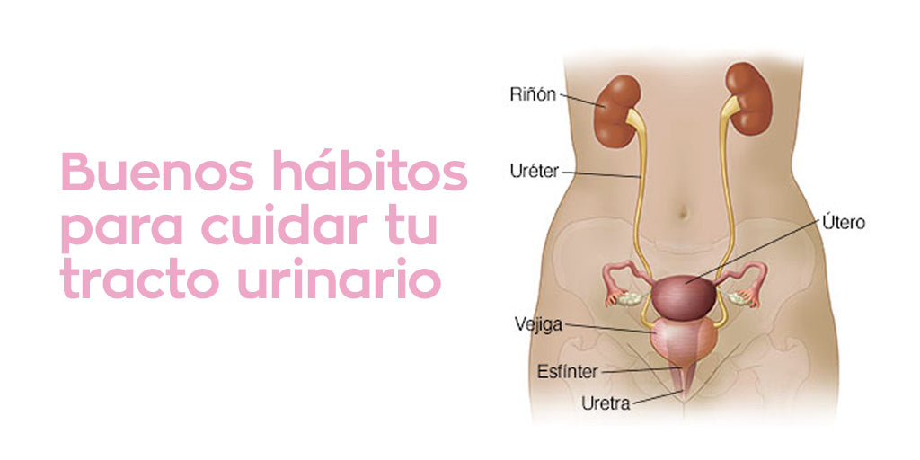 good habits to care for the urinary tract