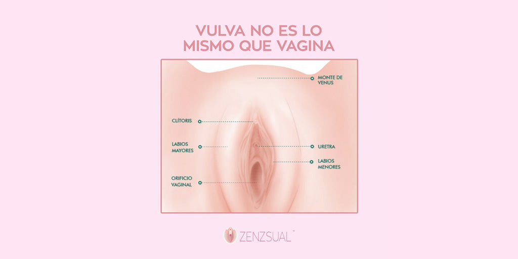 the vulva is not a vagina