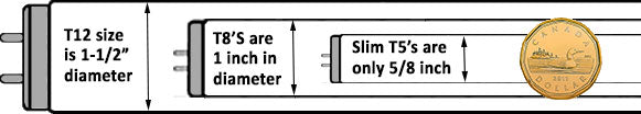 T5, T8 & T12 sizing