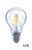 A19 Filament LED Bulb