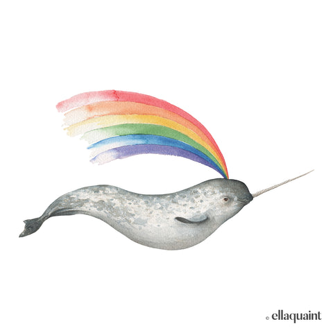 A watercolour illustration of a male narwhal blowing a rainbow out of it's spout, against a white background.