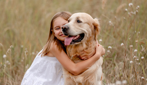 Labrador Retriever Familien Hund