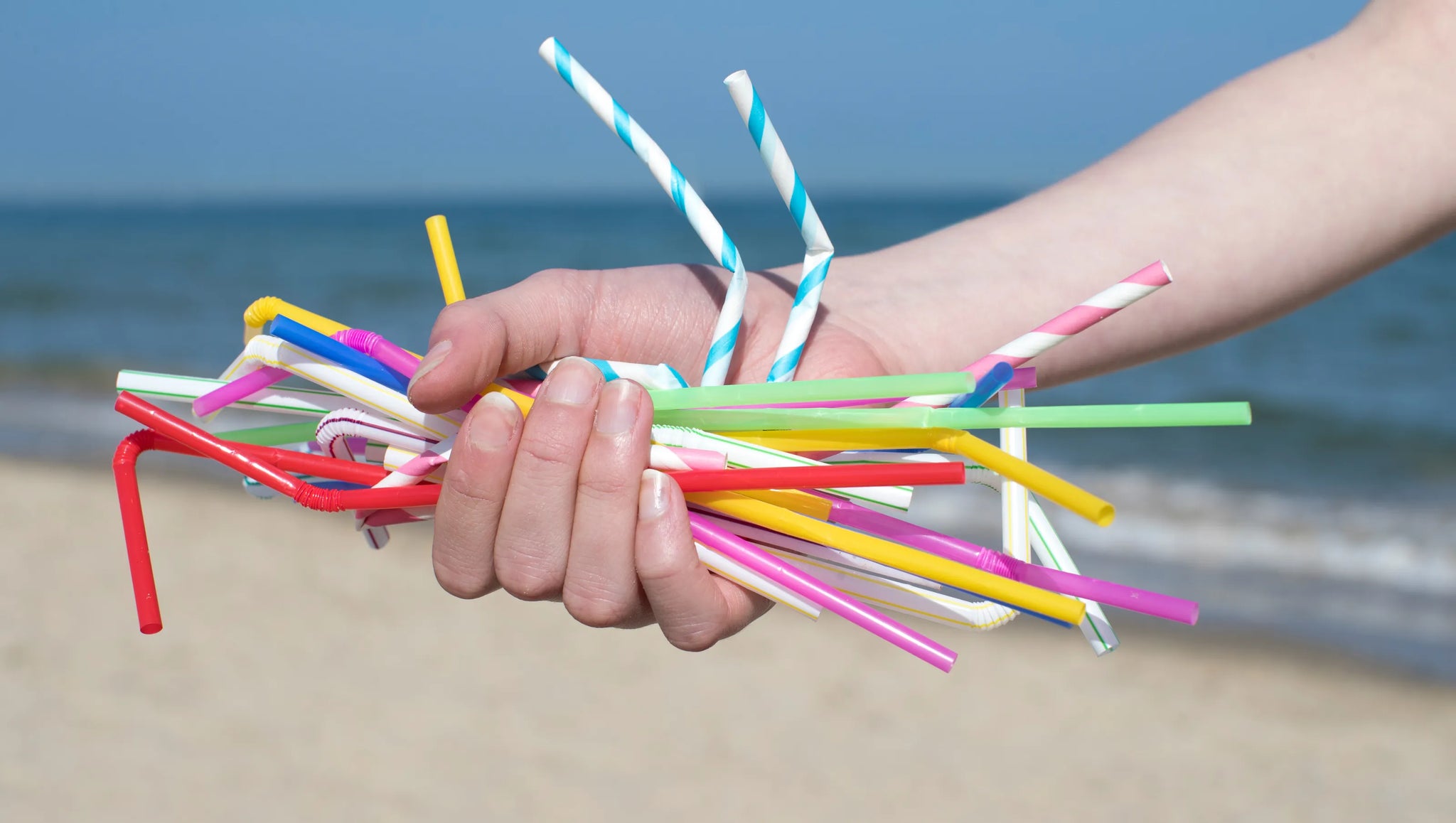 plastic paper straws beach 