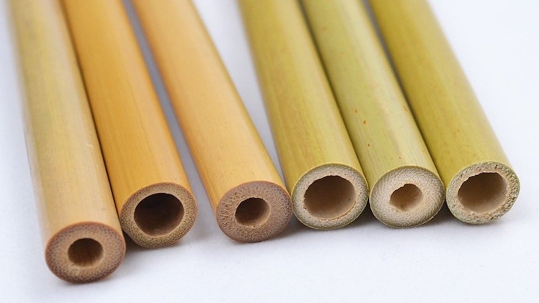 Bamboo straws