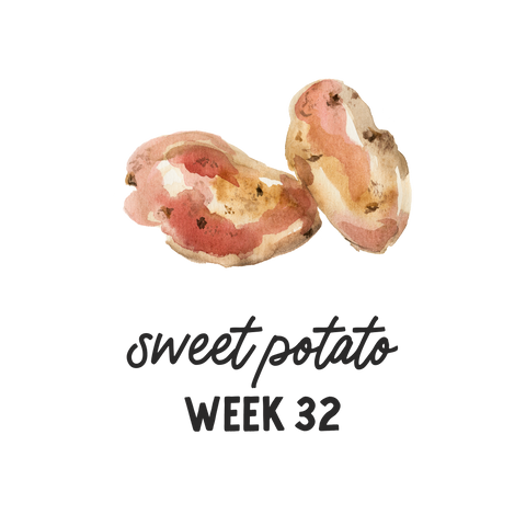Pregnancy Week 32