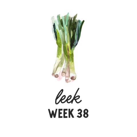 Pregnancy Week 38