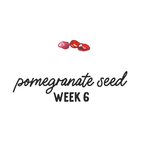Pregnancy Week 6