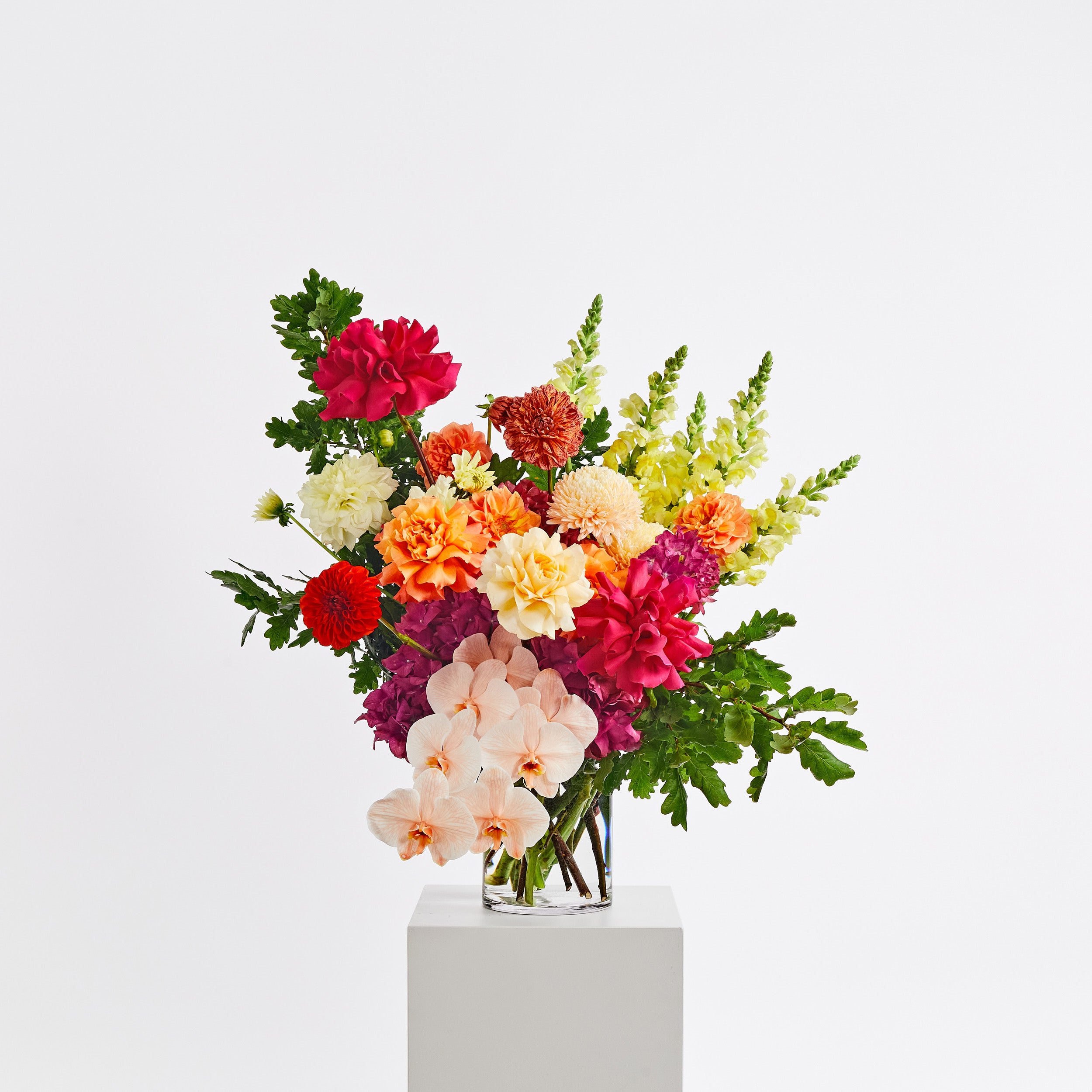 Bright & Bold | Flowers Delivery | Sydney CBD – Poho Flowers