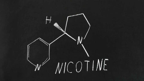 How Long Does It Take for Nicotine to Leave Your System