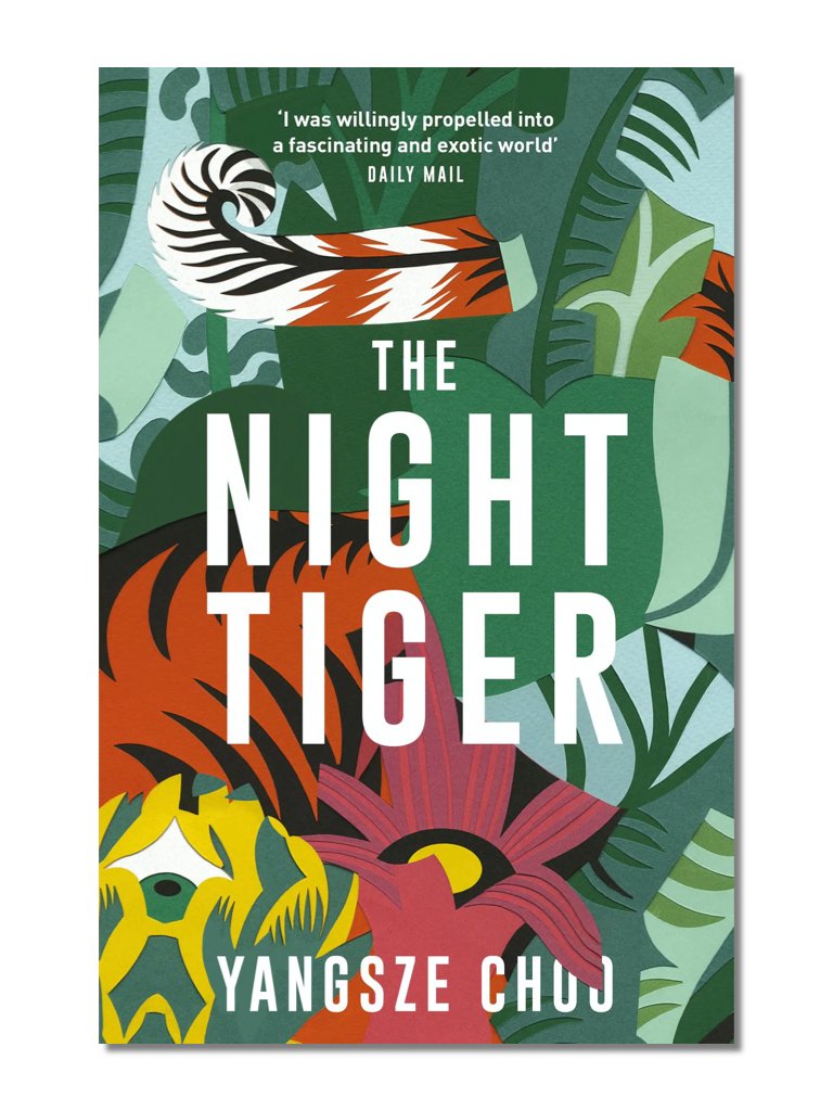 the night tiger book